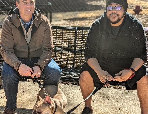 embedded-image-d3803cdb23